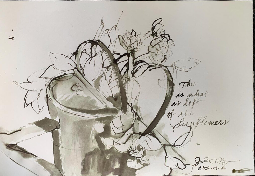 Inkwash sketch of decaying bouquet of sunflowers in a bucket