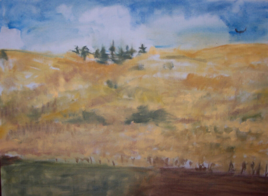 distance of hilltops covered in golden grass, only a few bushes and trees interrupt