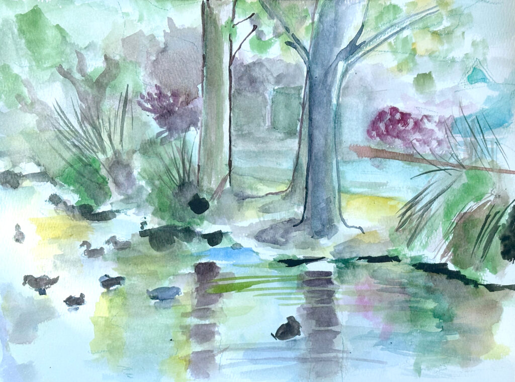 watercolor painting of a duck pond with two large tree trunks at the far end, set in a residential neighborhood