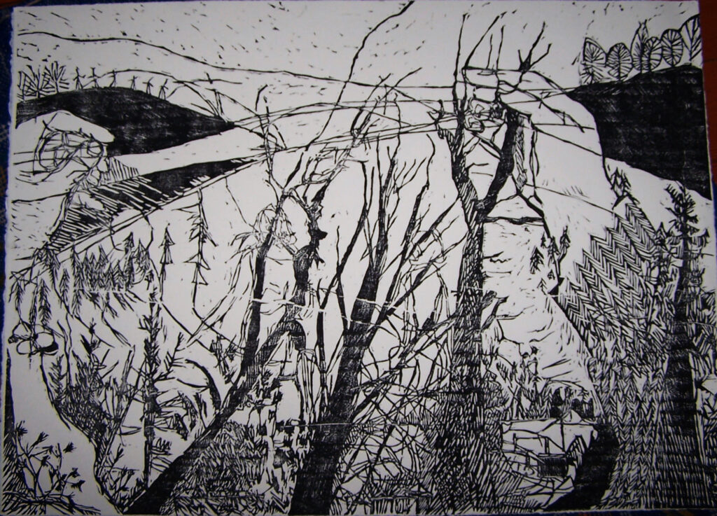 Woodcut of overview of tops of conifer trees, with large human hands superimposed to manipulate them