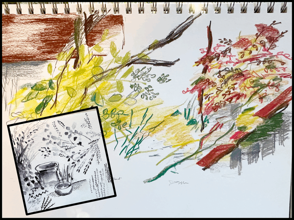 color pastel sketch of shrubbery with inset of charcoal watercolor brush doodle